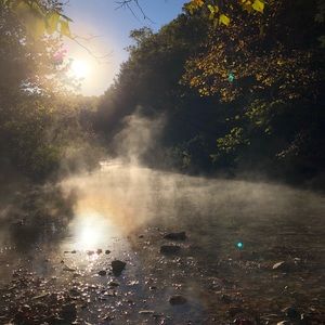 Meet your Posher, Patricia